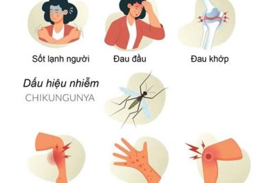 TRƯỜNG MẦM NON XUÂN HÒA CHUNG TAY PHÒNG, CHỐNG BỆNH CHIKUNGUNYA