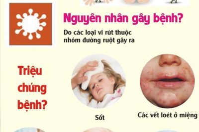 TRƯỜNG MẦM NON XUÂN HÒA TĂNG CƯỜNG PHÒNG, CHỐNG BỆNH TAY CHÂN MIỆNG TRONG TRƯỜNG HỌC