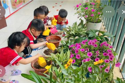 PTTC&KNXH: Dạy trẻ chăm sóc cây xanh