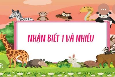 Nhận biết một và nhiều