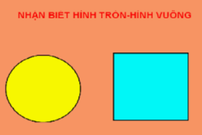 Nhận biết Hình tròn-hình vuông-Chủ đề Mùa hè đến rồi
